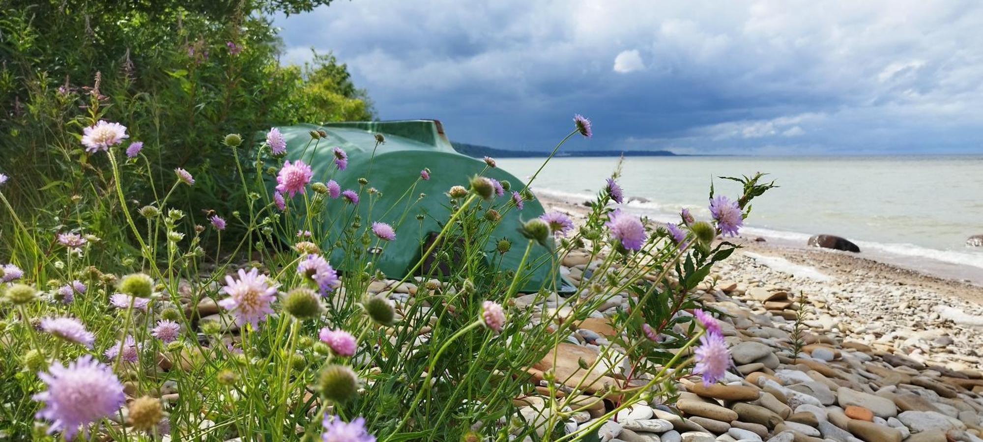 Mereaeaere Glamping Ja Rannamaja Liimala Exterior foto