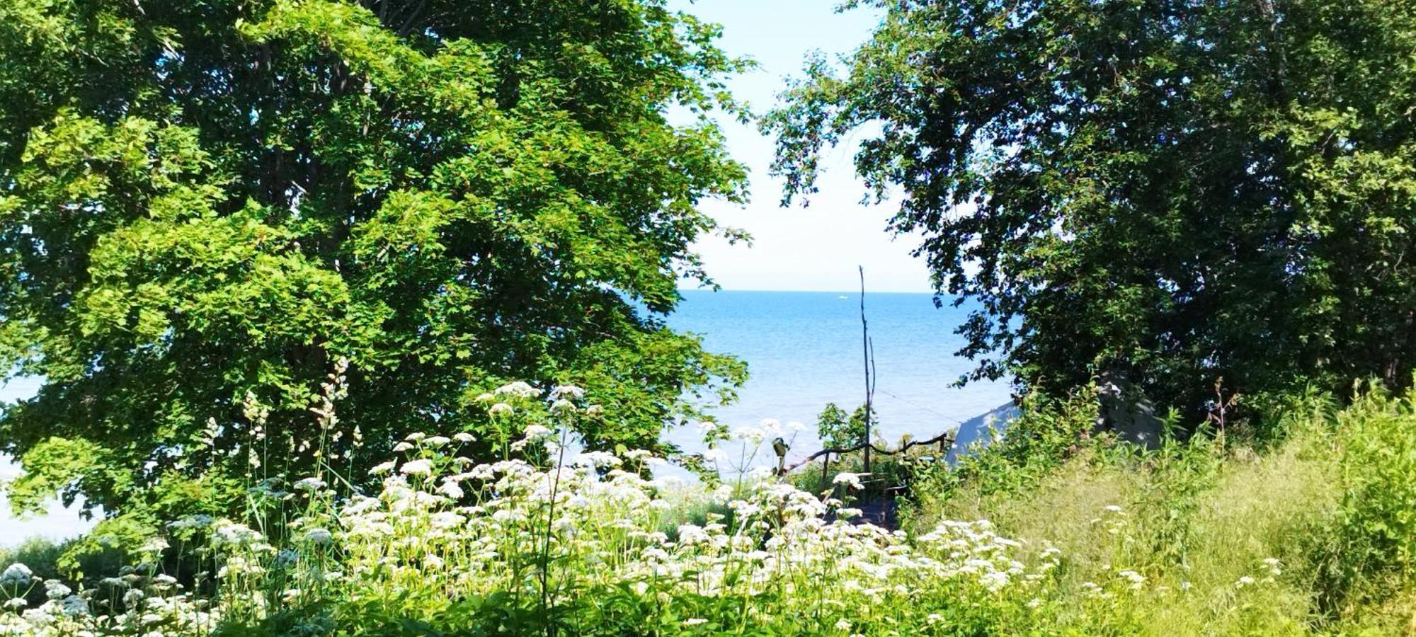 Mereaeaere Glamping Ja Rannamaja Liimala Exterior foto
